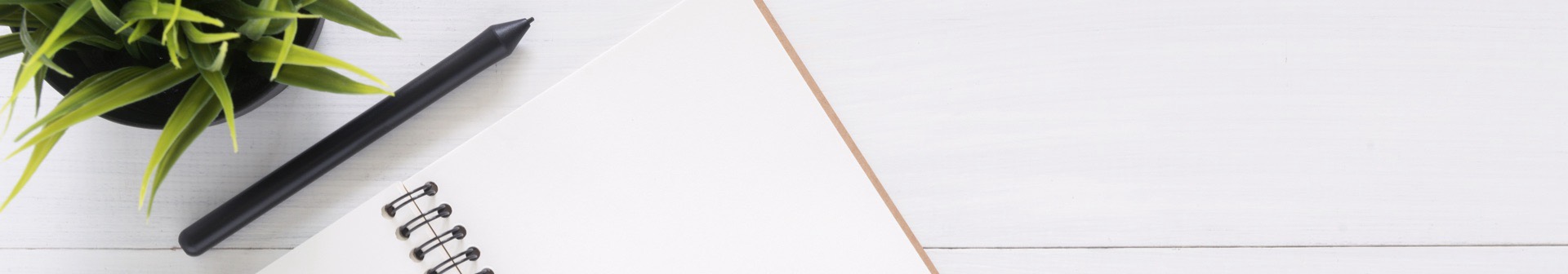 banner image