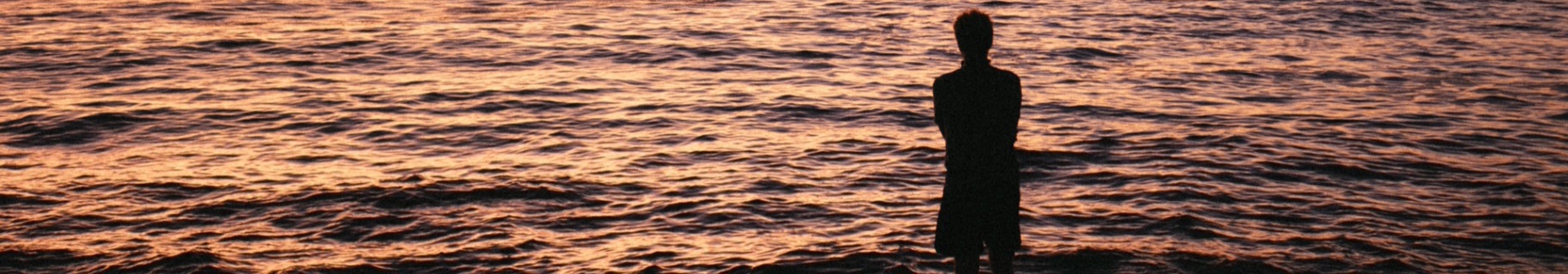 banner image